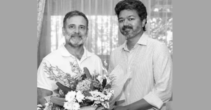 തമിഴ്നാട് മുഖ്യമന്ത്രി വിജയ്‌യുമായി കൂടിക്കാഴ്ച നടത്തി രാഹുൽ ഗാന്ധി