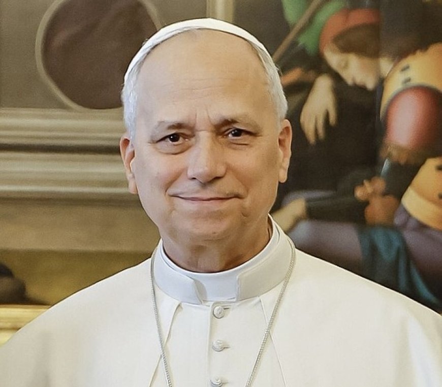 Pope diagnosed with lung cancer but had successful surgery, Vatican says