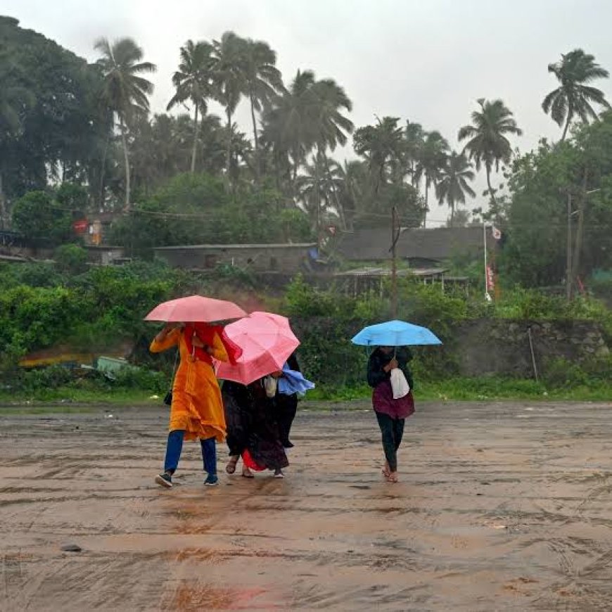 Northeast monsoon approaches Kerala, four districts on orange alert