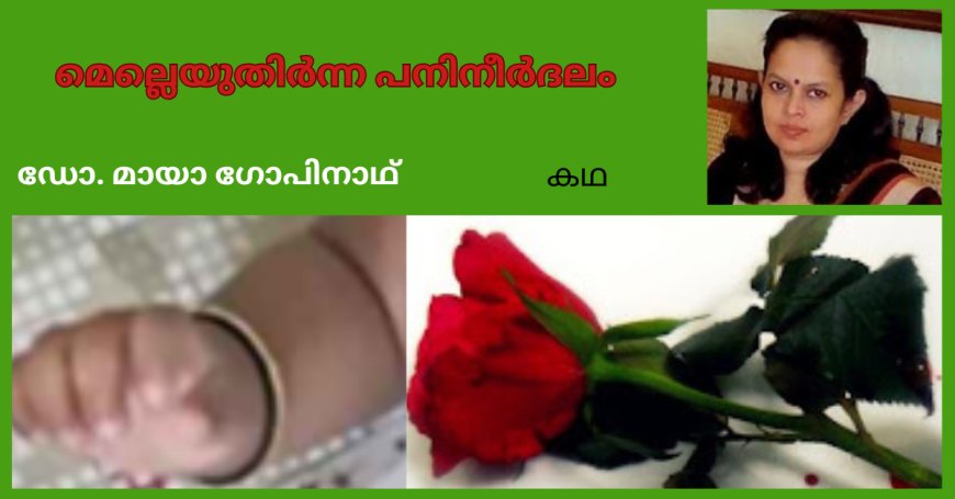 മെല്ലെയുതിർന്ന  പനിനീർദലം; കഥ,  ഡോ. മായാ ഗോപിനാഥ്