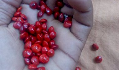 മഞ്ചാടി: കവിത, ഷുക്കൂര് ഉഗ്രപുരം
