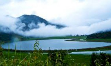 പ്രകൃതിതൻ രൂപഭംഗികൾ: കവിത, സുധ അജിത്