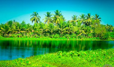 നവംബർ  1, കേരളപ്പിറവി: ലേഖനം; കെ. പ്രേമചന്ദ്രൻ നായർ