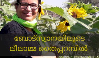 ബോട്സ്വാനയിലെ  പച്ചിലക്കൂട്ടുകളിൽ കണ്ടറിഞ്ഞ ആയൂർ വേദമെന്ന  അത്ഭുതം ; ലീലാമ്മ തൈപ്പറമ്പിൽ
