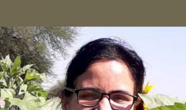 മെറോമിയിലെ കാട്ടുനായ്ക്കളുടെ സാമ്രാജ്യത്തിൽ