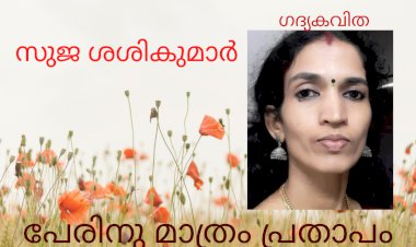 പേരിനു മാത്രം പ്രതാപം; സുജ ശശികുമാർ
