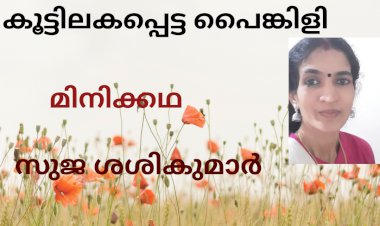 കൂട്ടിലകപ്പെട്ട പൈങ്കിളി;  മിനിക്കഥ