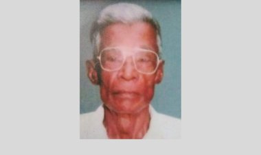 അച്ഛൻ എനിക്കുതണലേകിയ നന്മമരം:  കവിത, സൂസൻ പാലാത്ര