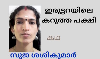 ഇരുട്ടറയിലെ കറുത്ത പക്ഷി; കഥ