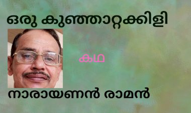 ഒരു കുഞ്ഞാറ്റക്കിളി: കഥ , നാരായണൻ രാമൻ