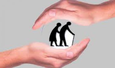 വയോജനദിനം ഓർമ്മപ്പെടുത്തുന്നത് : ലേഖനം ,  മിനി സുരേഷ്