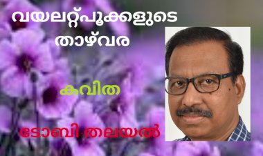 വയലറ്റ്പൂക്കളുടെതാഴ്വര: കവിത, ടോബിതലയല്
