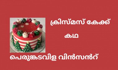 ക്രിസ്മസ് കേക്ക്: കഥ, പെരുങ്കടവിള വിൻസൻറ്
