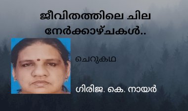 ജീവിതത്തിലെ ചില നേർക്കാഴ്ചകൾ.....; ചെറുകഥ, ഗിരിജ. കെ. നായർ