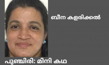 പുഞ്ചിരി: മിനി കഥ, ബീന കളരിക്കൽ