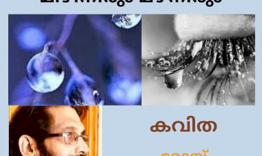 മിഴിനീരും മഴനീരും :  കവിത, റോയ് പഞ്ഞിക്കാരൻ