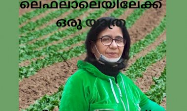 ലെഫലാലെയിലേക്ക്  ഒരു യാത്ര : ലീലാമ്മ തോമസ് ബോട്സ്വാന