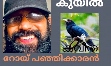 കുയിൽ : കവിത , റോയ് പഞ്ഞിക്കാരൻ